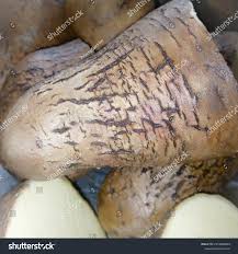 Image result for Dioscorea dumetorum