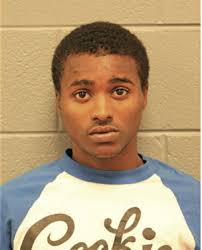 ᐅ Illinois Criminal Records 2009-2025