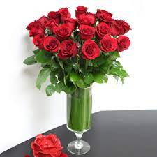 Send flowers today san diego. Two Dozen Roses In San Diego Ca Point Loma Village Florist