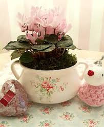 Pin Von Silke Jop Auf Deko Deko Dekorieren Deko Fruhling