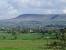 Pendle Hill Tree