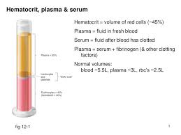 Image result for Blood Volume