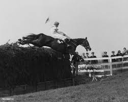 Image result for Aintree Green 1970 Iso