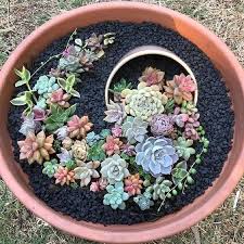 They are known for their hardiness and their need for little water. 60 Charming Succulent Indoor Garden Ideas 2019 Page 10 Of 64 Soopush
