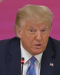 Trump insists schools 'must open' in fall, says he'll 'put pressure'