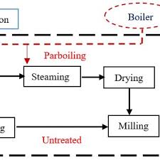 Process Flow Diagram Rice Mill Catalogue Of Schemas