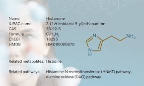 Image result for Histamine