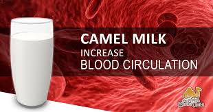 The top 10 questions that have been asked and can be located at camelmilkusa.com are: Susu Unta Usa Home Facebook