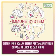 Missile defense agency (mda), badan uji ballistic missile defense tes ini menekankan kemampuan sistem pertahanan rudal aegis (bmd) dan terminal. Kimia Farma A Twitteren Promokaef Sistem Imun Adalah Sistem Pertahanan Tubuh Sebagai Pelindung Dari Virus Luangkan Waktu Istirahat Yang Cukup Dan Tingkatkan Daya Tahan Tubuh Dengan Mengonsumsi Fitunokf Jadi Badan Fit