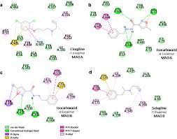 Image result for Isocarboxazid
