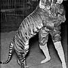 Killing animals in this way is not considered a cruelty to the locals, but as far as western standards are concerned it is extreme animal cruelty. Https Encrypted Tbn0 Gstatic Com Images Q Tbn And9gcrnodsihxa6fgwelcixdr2lxe9lvsocsa5hqthgd6llz8xots E Usqp Cau