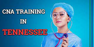 Das ist das neue ebay. Cna Training In Tennessee Paid Classes Info 2021 Updated