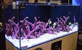 The important point here, is to make sure you leave enough room for your fish and corals, as well as room to perform much needed maintenance. The Best Dry Rock For Aquascaping Saltwater Aquariums Reef Builders Gear Guide Reef Builders The Reef And Saltwater Aquarium Blog