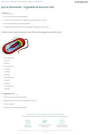 Gizmo answer key student exploration inheritance. 34 Cell Structure And Processes Practice Worksheet Free Worksheet Spreadsheet