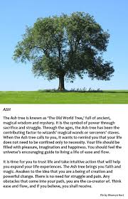 Ash Tree Ash Tree Tree Celtic Tree