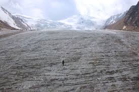 When The Glaciers Disappear Those Species Will Go Extinct