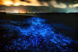 República de costa rica), is a country in central america, bordered by nicaragua to the north, the caribbean sea to the northeast. Reiseempfehlung Orte An Denen Das Meer Silbrig Blau Leuchtet Reiseziele Ch
