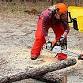 Chainsaw Safety and Handling event image