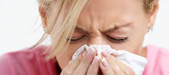 Image result for Allergic Rhinitis