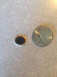 Step 2 apply some white toothpaste on the burn marks. Help Fixing Small Burn On Countertop Fixit