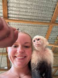 What to consider when choosing a Brazilian Jiu-Jitsu gym for kids?