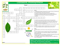Start studying photosynthesis crossword (honors biology). Photosynthesis Crossword Sheet Keywords Ks3 Settler Starter Cover Lesson Science Biology Teaching Resources