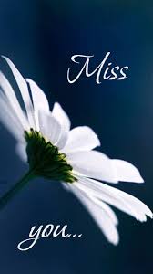 We did not find results for: Miss You Gif Download Share On Phoneky