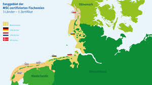 Sie sind heute insbesondere für den tourismus von hoher wirtschaftlicher. Transnationaler Pakt Marine Stewardship Council