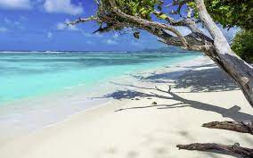 It consists of 115 islands. Seychellene Bestill Reise Til Seychellene Her Apollo