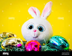 Close up of an easter bunny with easter eggs hi-res stock photography and  images