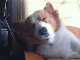 Https Encrypted Tbn0 Gstatic Com Images Q Tbn 3aand9gcsnj8ffce0yeoxxw1bhx5uejavhnnqhogh 5g Usqp Cau