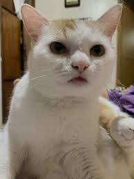 Best needle size for less painful fluid administration?