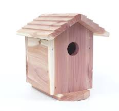 Outdoor Secureshot Nightvision Cedar Bird House Camera Dvr W 1 Yr Battery Home Security Wireless Home Security Systems Bird House