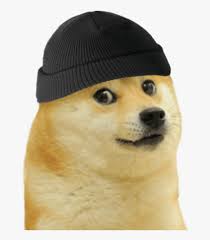 Doge usually uses the iconic image seen to the right. Doge Meme Gif Hd Png Download Kindpng