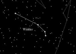 Sternzeichen von wann bis wann: Sternzeichen Widder Starling Star Registry Blog Deutsch