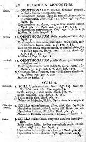 Image result for Scilla benguellensis