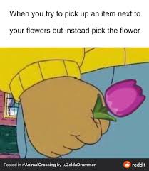 798 Mentions J Aime 20 Commentaires Animal Crossing New Horizon Starsarnewhorizon Sur Instagram This Is Me 100 C Sibling Memes Memes Arthur Fist Meme