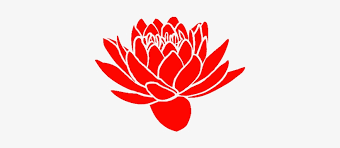 Water lily flower hand drawn botanical illustrations. Stock Vector Black Silhouette Of Lotus Flowers Icon Protea Silhouette Transparent Png 362x500 Free Download On Nicepng