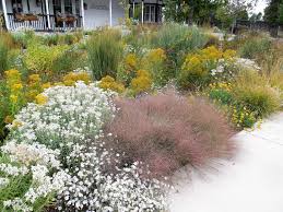 Lauren Springer Ogden Designed Prairie Garden At Chatfield Farms The Great Plains Made Their Historical Entre Onto Th Prairie Garden Plains Landscape Xeriscape