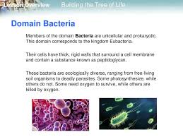 18 3 Building The Tree Of Life Ppt Download