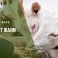 Contact Barn Chat event image