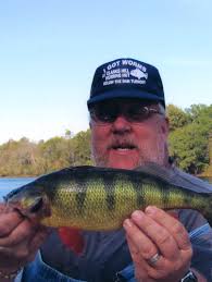 Low-key society gets its kicks from jerkin' perch