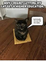 Humor Memes Fun Jokes Humor Fun Risa Joke Meme Memes Comedy Funniest Meme Comedy Movies Memes Funny Animal Pictures Funny Cat Memes Cat Memes