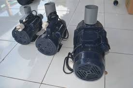 Kemarin saya beli pompa pedrollo tipe jdwm1ax jet pump dari sentralpompa.com barangnya bagus sekali pak dan pelayanannya cepat. Jual Pompa Air Modifikasi Murah Suryaguna Com Distributor Alat Rumah Tangga Tas Pos Tas Kiso Ayam Mesin Parut Harga Grosir