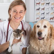 Keeping your pet healthy is your responsibility as a pet owner. Pet Health Medlineplus