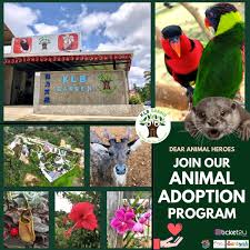 Pejabat pengarah negeri sarawak wisma hasil 1 jalan padungan 93100 kuching sarawak tel : Animal Adoption Program Be An Animal Ranger Klb Garden Sarawak