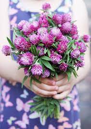Grow Your Own Cut Flowers It S Easy