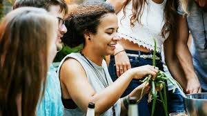 Onion, leek, shiitake, eschalots, carrots, kombu, smoked fish etc. Scallions Vs Green Vs Spring Onions What S The Difference