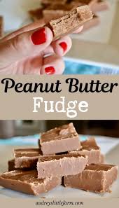 Old Fashioned Peanut Butter Fudge Recipe Audrey S Little Farm Recipe Peanut Butter Fudge Recipe Fudge Recipes Peanut Butter Fudge