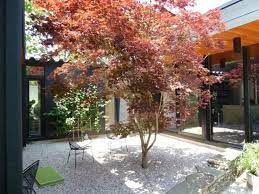 Sparse Yet Elegant English Cottage Garden Zen Rock Garden Cottage Garden